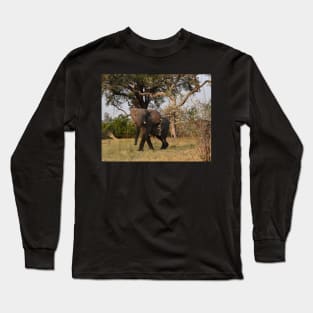 Young African Bull Elephant Long Sleeve T-Shirt